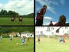 2391_CIMG5075.jpg