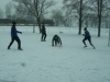 4016_CIMG7830.jpg