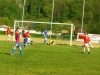 5447_2009_rswmettersdorf_006.jpg